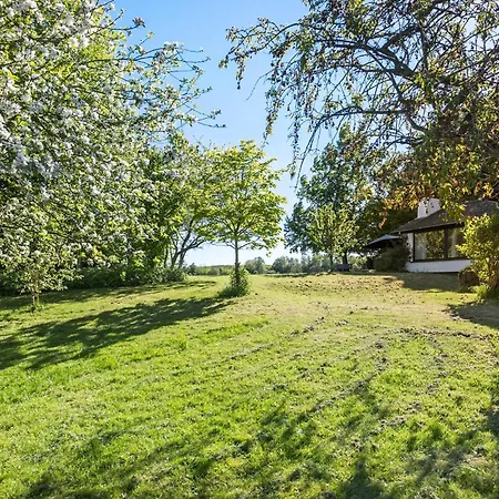 בית נופש Lovely In *